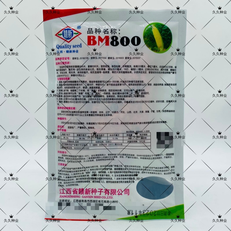 BM800水果玉米种子大棒型超甜鲜食生吃糯玉米水果玉米
