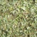 砍好甘甜小叶鸡骨草一手货源量大忧惠中药批发