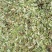 砍好甘甜小叶鸡骨草一手货源量大忧惠中药批发