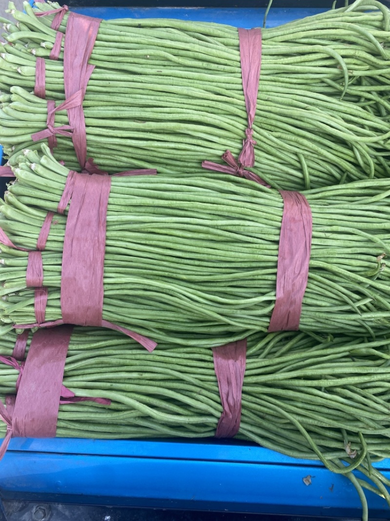 精品长豆角，实力代收，产地直发，货量大！牛