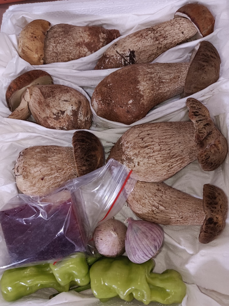 美味牛肝菌：大自然的馈赠，舌尖上的盛宴。现采现发！