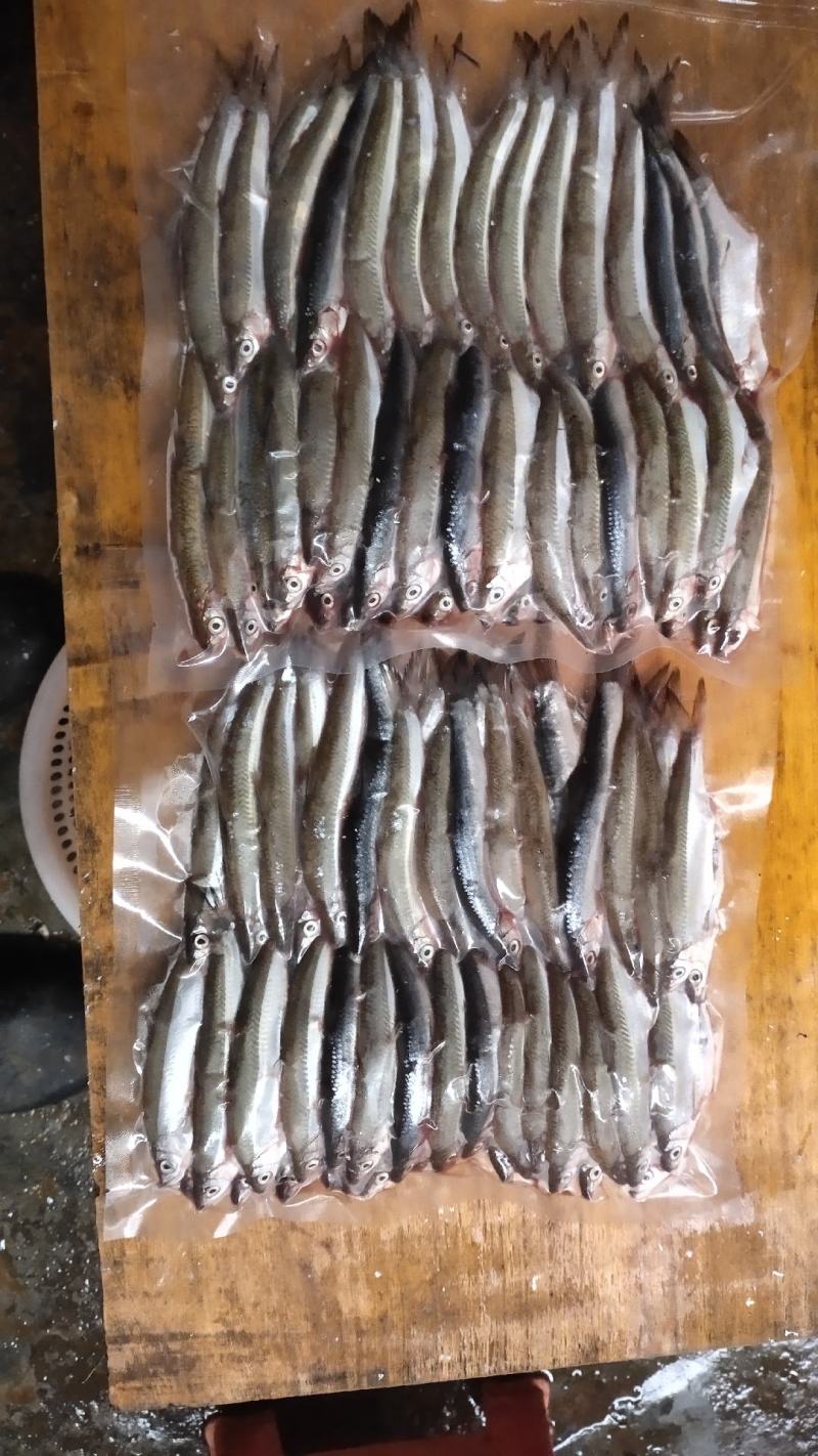 刁嘴魚