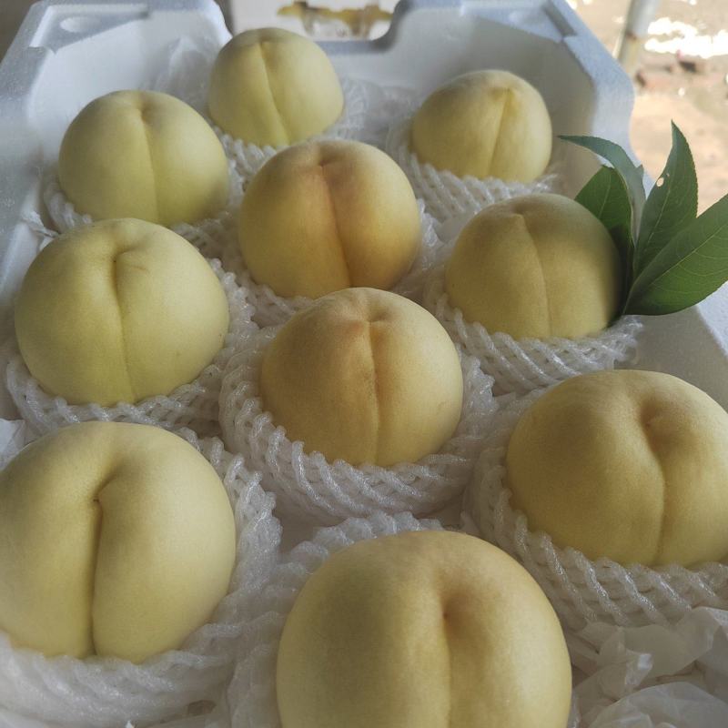 新沂市踢球山水蜜桃