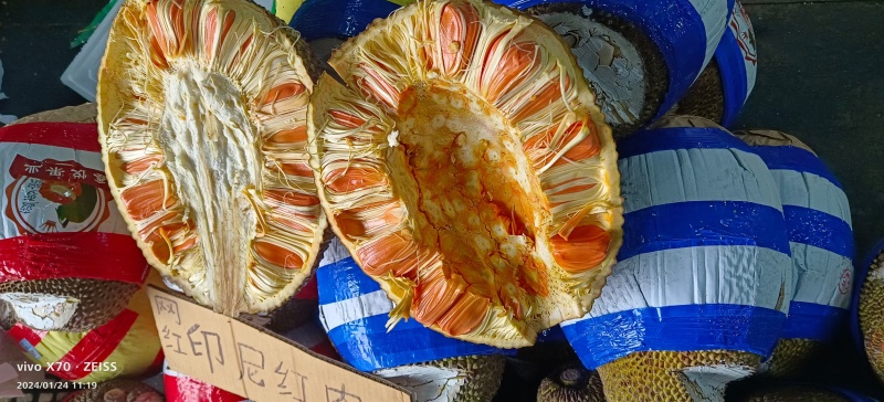 红肉菠萝蜜
