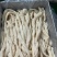 精修预煮猪小肠