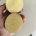 麦肯土豆2两以上的原产地大量欢迎来电