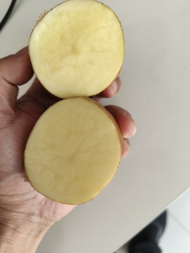 麦肯土豆2两以上的原产地大量欢迎来电