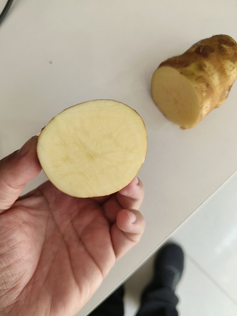 麦肯土豆2两以上的原产地大量欢迎来电
