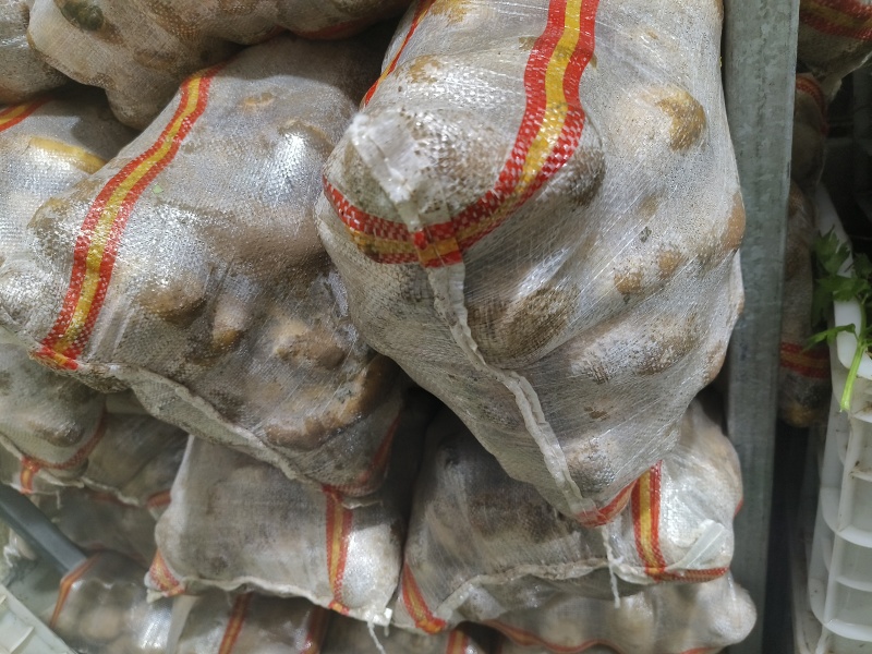 麦肯土豆2两以上的原产地大量欢迎来电