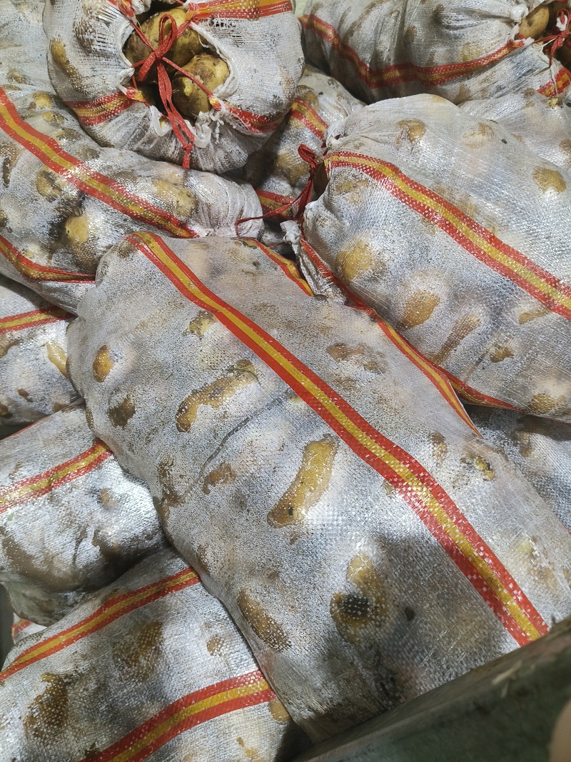 麦肯土豆2两以上的原产地大量欢迎来电