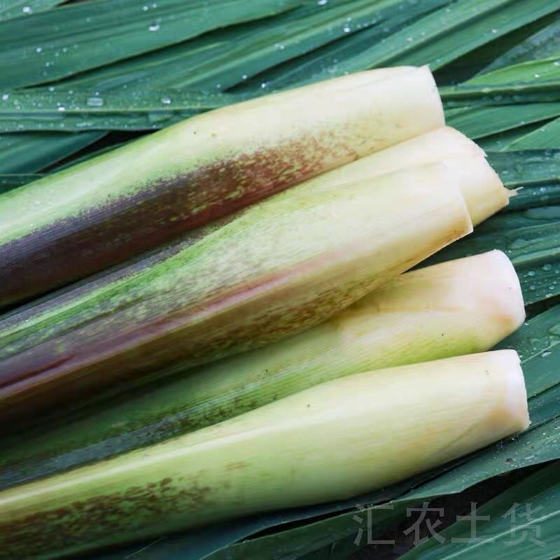 安徽芜湖美人茭白大量上市，可视频看货，产地直供欢迎来电