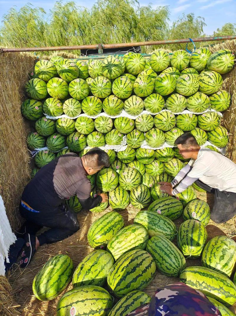 北京硒砂瓜头茬甜度高皮薄多汁对接全国市场量大优惠