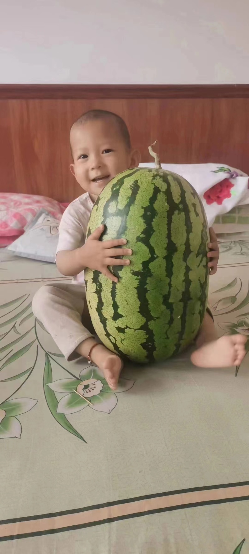 北京硒砂瓜头茬甜度高皮薄多汁对接全国市场量大优惠