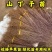 山丁子苗-山荆子苗-实生苗-嫁接各种品种苹果苗专用砧木