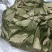 金花茶叶金花茶干叶防城港金花茶叶子大量供应金花茶叶