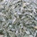 金花茶叶金花茶干叶防城港金花茶叶子大量供应金花茶叶