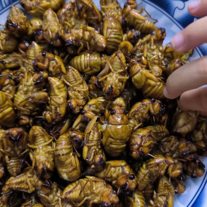杜仲小金蝉。肉多劲道。皮薄。保证质量。。