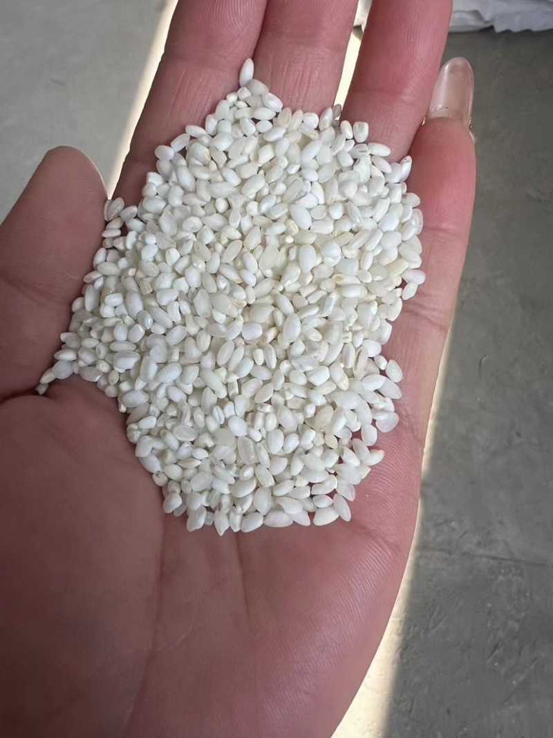 白米嘎嘎好