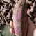 精品紫薯大量上市，万亩种植基地，货源充足，保证品质