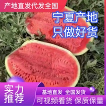 【牛商推荐】甘肃硒砂瓜金花一号货量充足产地直发