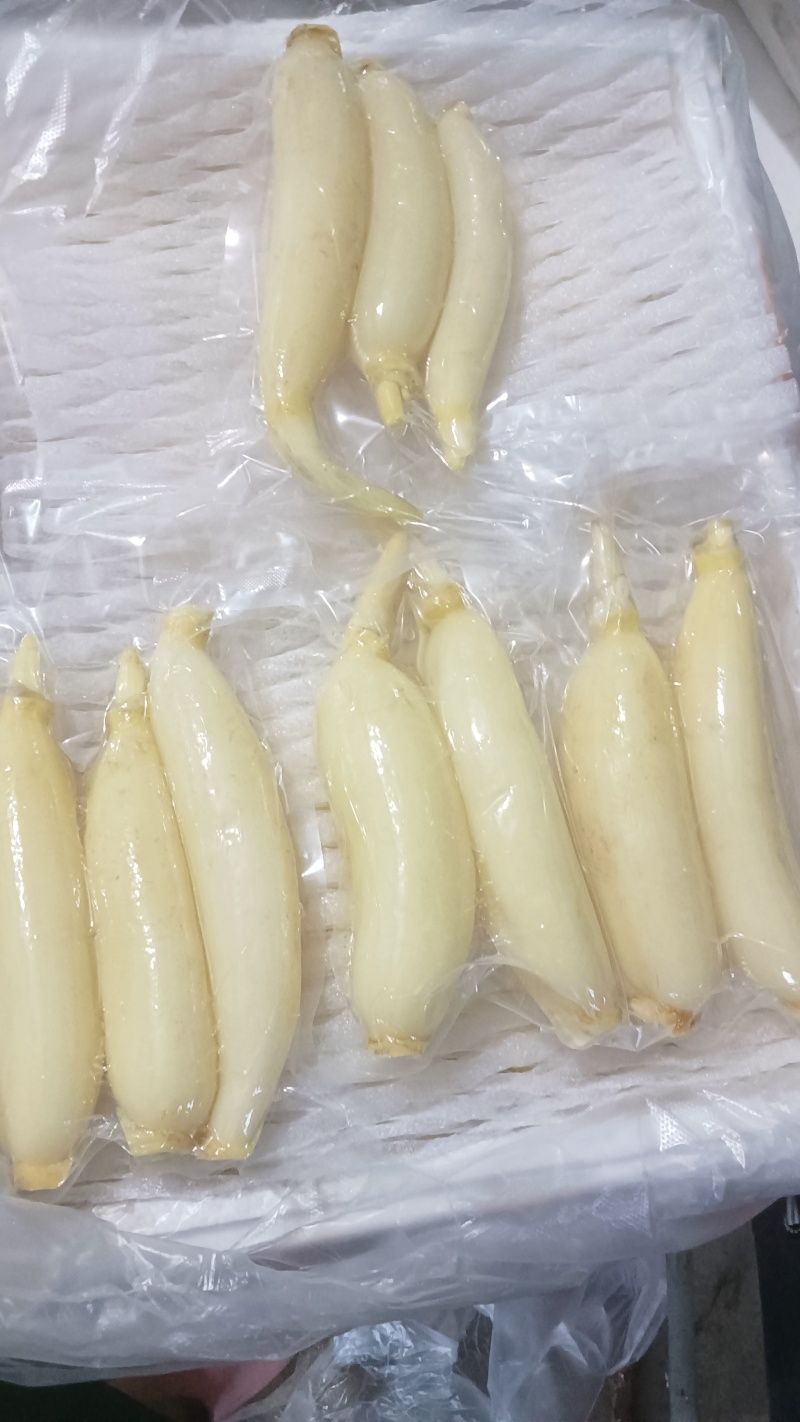 水果藕大量供应，生吃脆甜，入口无渣，当天采摘发货。
