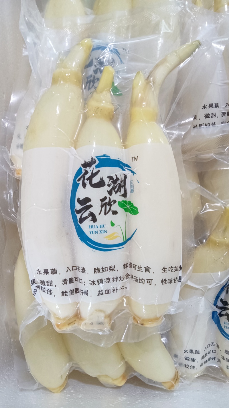 水果藕大量供应，生吃脆甜，入口无渣，当天采摘发货。