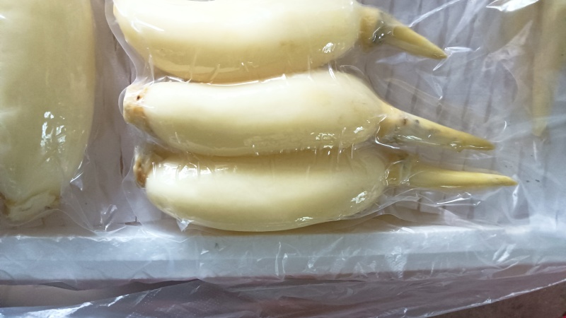 水果藕大量供应，生吃脆甜，入口无渣，当天采摘发货。