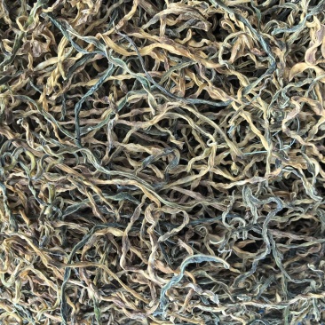 干豆角，散条基地供应直销量大质优价优欢迎各大老板采购