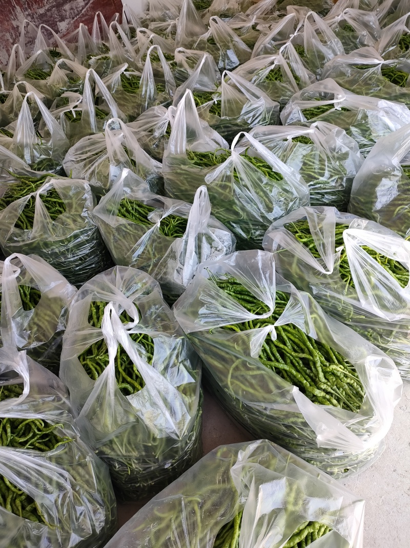 贵州新鲜鸡爪椒，线长椒，三号椒八号椒山椒