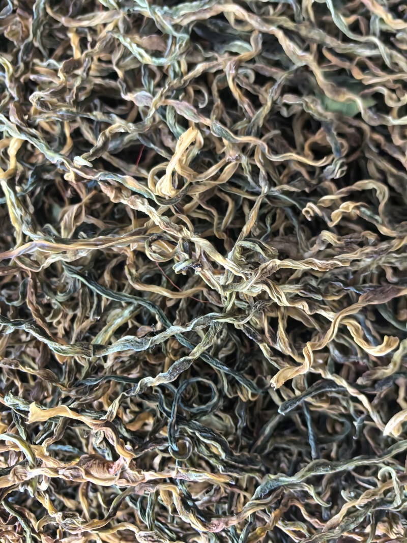 干豆角，散条基地供应直销量大质优价优欢迎各大老板采购
