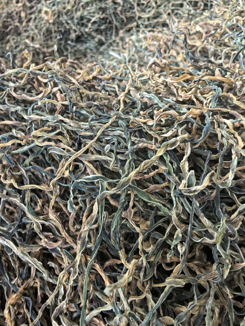 干豆角，散条基地供应直销量大质优价优欢迎各大老板采购