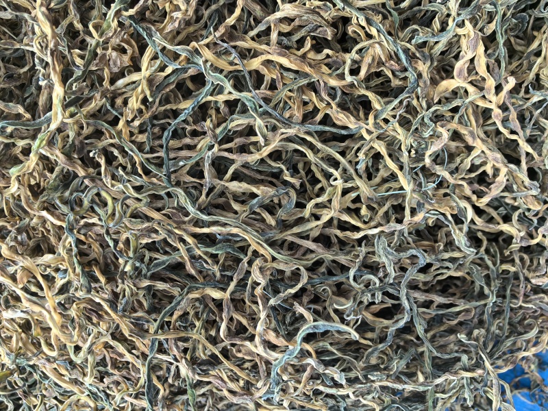干豆角，散条基地供应直销量大质优价优欢迎各大老板采购