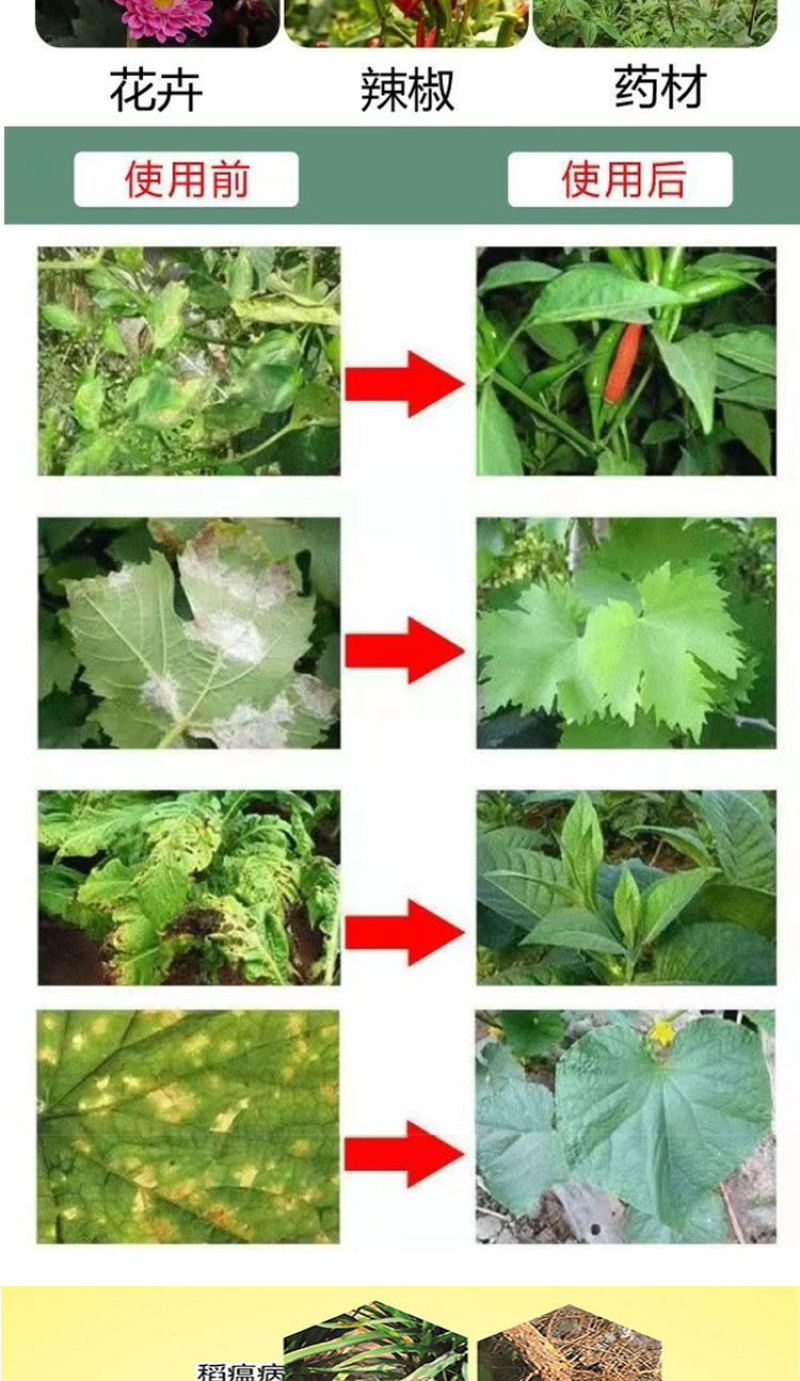 金拜克干将微生物菌肥叶斑病白粉病灰霉病肥料防治细菌真菌