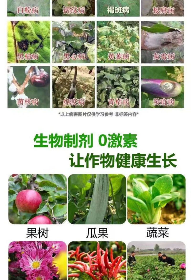 金拜克干将微生物菌肥叶斑病白粉病灰霉病肥料防治细菌真菌