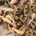 木瓜，皱木瓜，过筛无沫，产地货源，保质保量，批发各种药材
