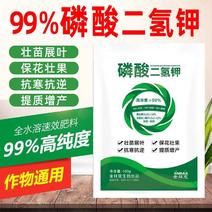 99%磷酸二氢钾提质增产保花壮果磷肥钾肥厂家直销