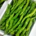 扁豆角大量上市