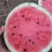 精品露天瓜802