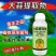 奥丰8%大蒜提取物植物源杀菌剂细菌性角斑病