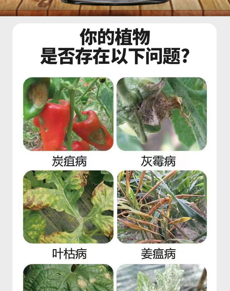 万能菌光合菌剂无抗药性防治溃疡病黑腐病褐斑病肥料厂家直销