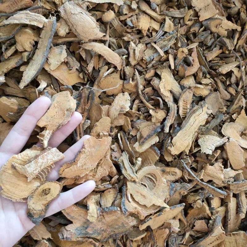 虎杖统货产地湖北祥泰药材栈中药材批发零售实物拍摄量