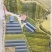 红肉李（芙蓉李）袋苗高度40-60量多价优福建漳州