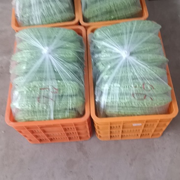 微笑面对代办，代办精品苦瓜，