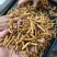 东阳光人工种植冬虫夏草一克3条