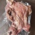 牛头肉去皮熟牛头肉真空包装厂家直供品质保证欢迎致电