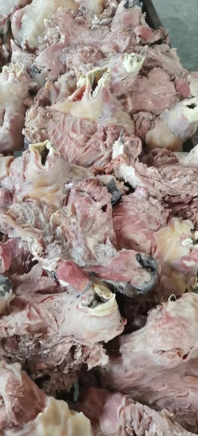 牛头肉去皮熟牛头肉真空包装厂家直供品质保证欢迎致电