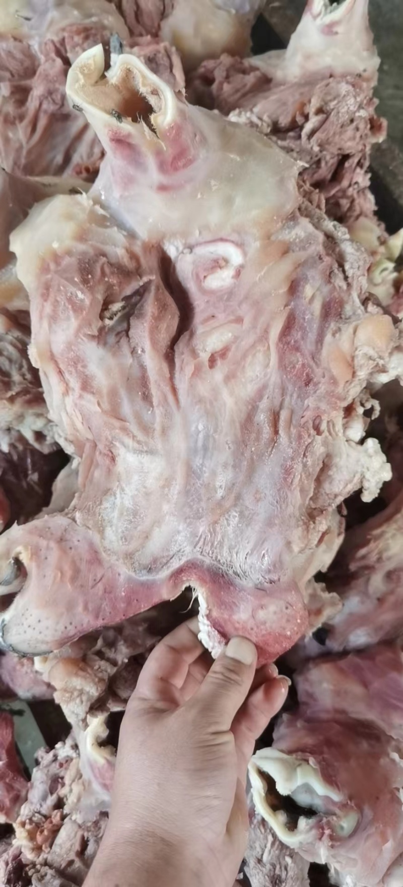 牛头肉去皮熟牛头肉真空包装厂家直供品质保证欢迎致电