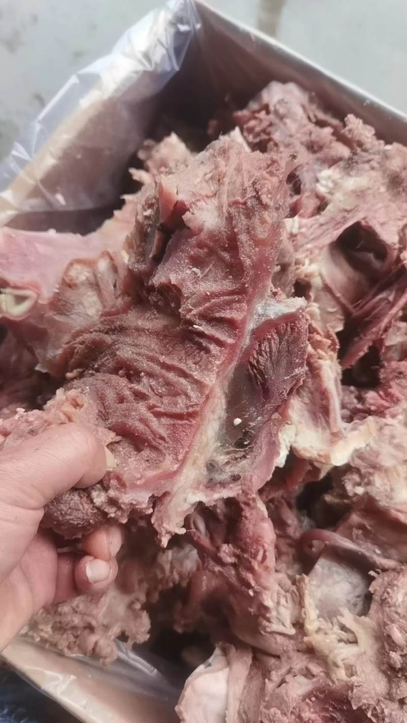 牛头肉去皮熟牛头肉真空包装厂家直供品质保证欢迎致电