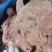 牛头肉去皮熟牛头肉真空包装厂家直供品质保证欢迎致电