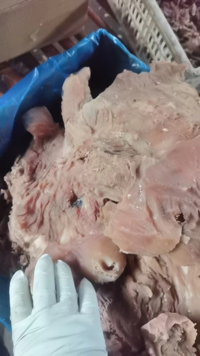 牛头肉去皮熟牛头肉真空包装厂家直供品质保证欢迎致电